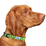 St. Patrick's Day Green Beer Dog Collar Aaria Tees