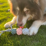 Ice Cream Rope Balls Tug Toy Aaria Tees