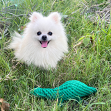 Rex the Green Dinosaur Rope Toy Aaria Tees
