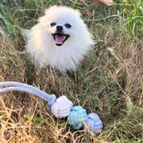 Mint Ice Cream Rope Balls Puppy Tug Toy Aaria Tees