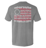 We the People of the United States of America In Order to Form a More Perfect Union Aaria Tees