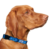 Hanukkah Dreidel Blue Dog Collar Aaria Tees