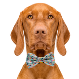 Happy Birthday! Aqua Dog Bow Tie Aaria Tees