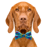 Happy Shark Blue Dog Bow Tie Aaria Tees