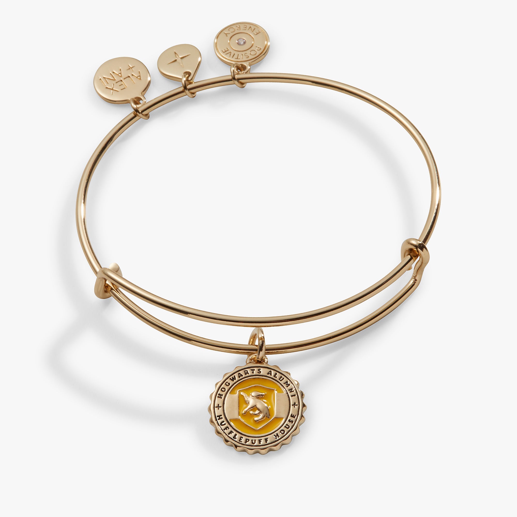 Harry Potter™ Hufflepuff House Charm Bangle - Aaria Tees Aaria Tees