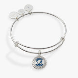 Harry Potter™ Ravenclaw House Charm Bangle - Aaria Tees Aaria Tees