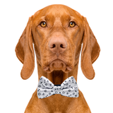 Hugs & Kisses Dog Bow Tie Aaria Tees