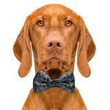 Hunting Dog Bow Tie Aaria Tees