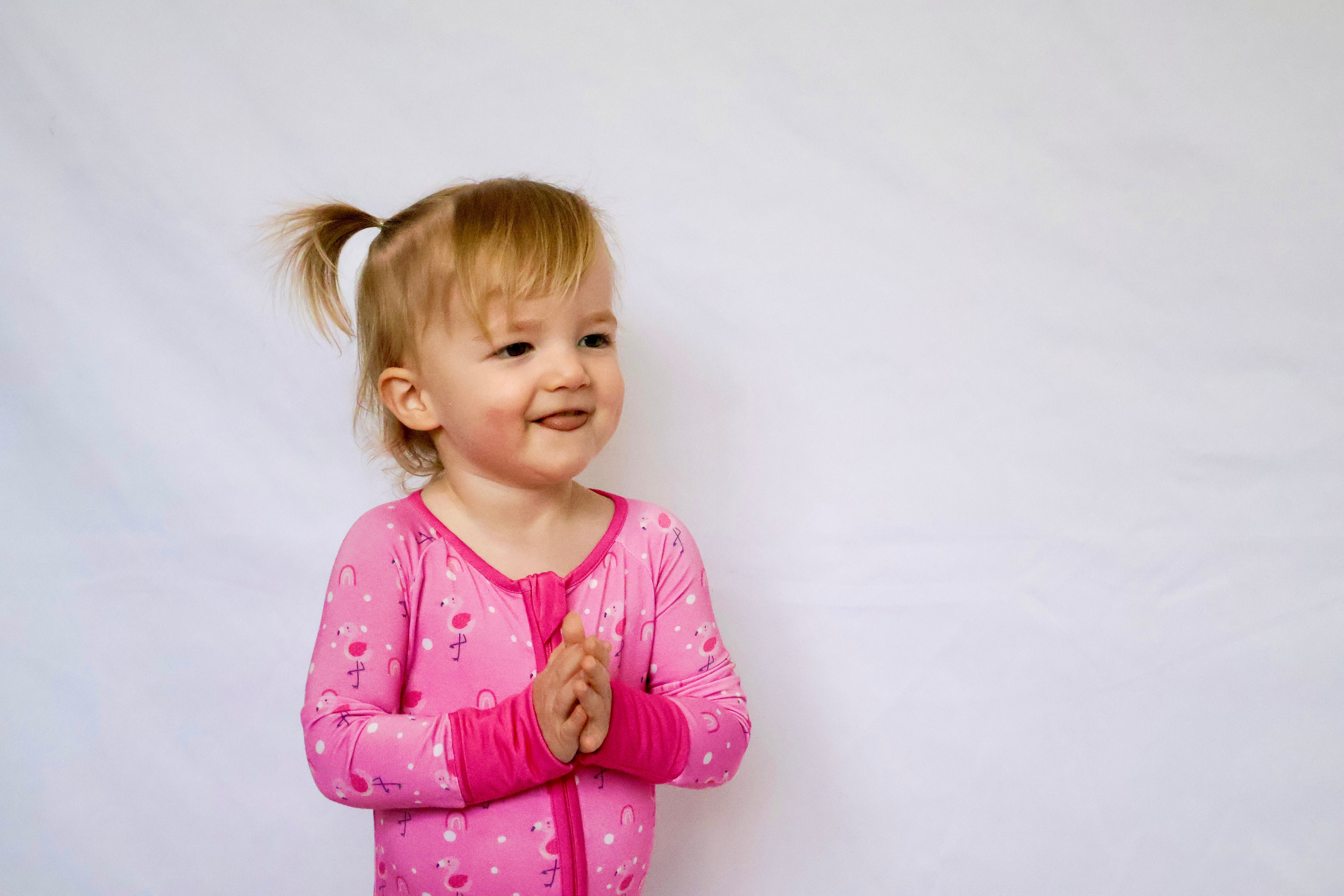 Baby Flamingo Romper Pink - Aaria Tees Aaria Tees