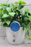 Detroit Lions Football Badge Reel Aaria Tees