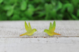 Watercolor Humming Birds Stud Earrings Aaria Tees