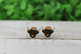HOWDY Highland Cow Stud Earrings Aaria Tees