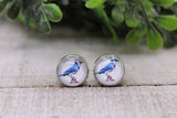 Blue Jay || 12mm Glass Stud Earrings || Hypoallergenic Aaria Tees