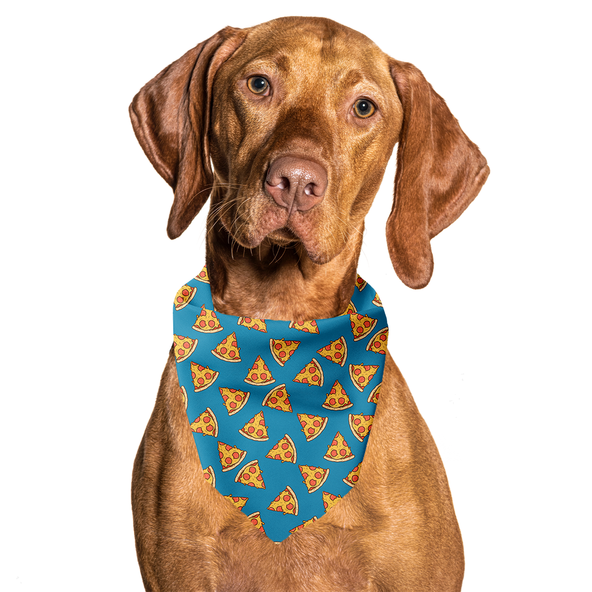 I Usually Only Get The Crust Pizza Tie On Dog Bandana