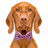 Ice Cream Cone Purple Dog Bow Tie Aaria Tees