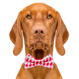 Ice Pops Pattern Dog Bow Tie Aaria Tees
