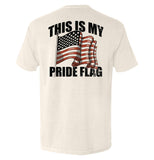 This Is My Pride Flag Aaria Tees