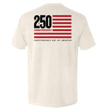 America 250 Years Anniversary Flag Aaria Tees