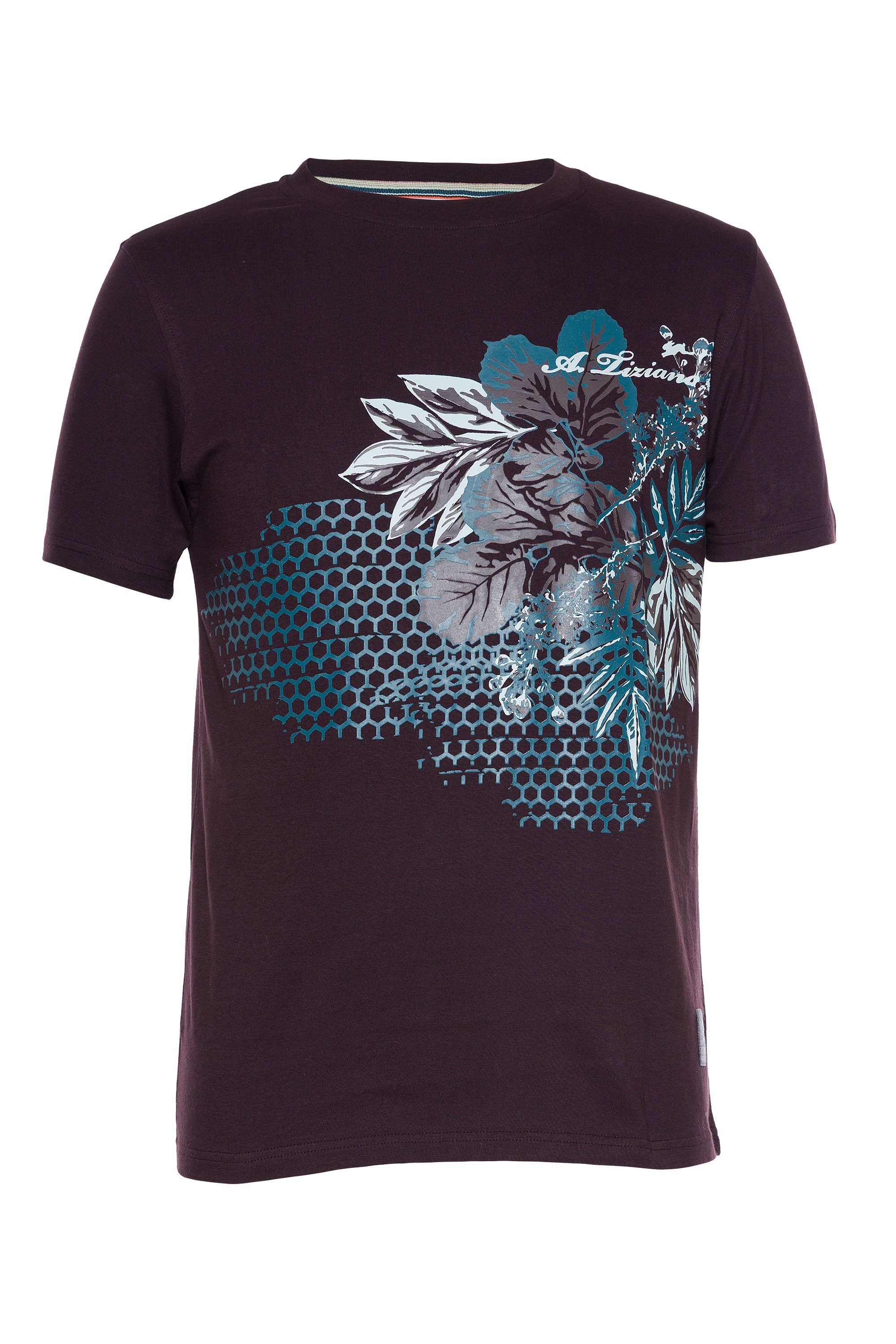 Josue | Graphic Print Tee - Aaria Tees Aaria Tees