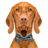 Leopard Print Dog Bow Tie Aaria Tees