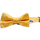 Llama Yellow Dog Collar Aaria Tees