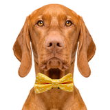 Llama Yellow Dog Bow Tie Aaria Tees