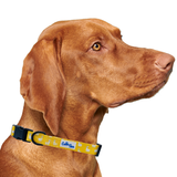 Llama Yellow Dog Collar Aaria Tees