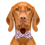 Lobster White Dog Bow Tie Aaria Tees
