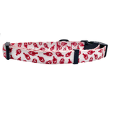 Lobster White Dog Collar Aaria Tees