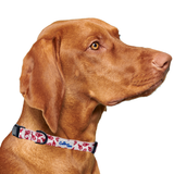 Lobster White Dog Collar Aaria Tees