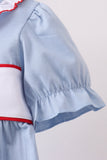 Blue Apple Embroidered Dress Aaria Tees