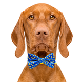 Mac and Cheese Blue Dog Bow Tie Aaria Tees