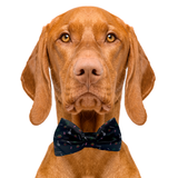 Marijuana Black Dog Bow Tie Aaria Tees