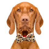 Movie Night Dog Bow Tie Aaria Tees