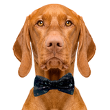 Music Notes Black Dog Bow Tie Aaria Tees