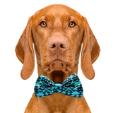 My Tribe Turquoise Dog Bow Tie Aaria Tees