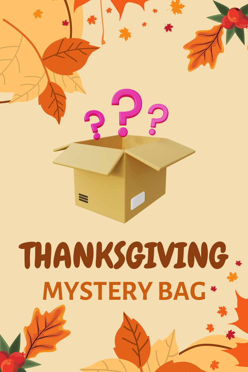 Thanksgiving Mystery Bag 10 Items Great Value - Aaria Tees Aaria Tees