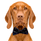 Neon Peach BlackDog Bow Tie Aaria Tees