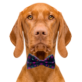 Neon Space Black Dog Bow Tie Aaria Tees