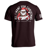 All I Want for Christmas is the Epstein Files Aaria Tees