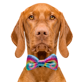 Pastel Tie Dye Dog Bow Tie Aaria Tees