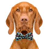 Paw Print Dog Bow Tie Aaria Tees