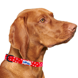 Valentines Day Paw Prints & Hearts Red Dog Collar Aaria Tees