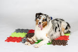 Pets Sensory Snuffle Set Aaria Tees