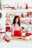 Pink Peppermint L/S Tutu Dress - Aaria Tees Aaria Tees
