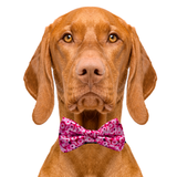 Pink Cheerios Dog Bow Tie Aaria Tees