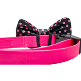 Polka-Dot Pink & Black Dog Bow Tie Aaria Tees