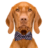 Polka-Dot Pink & Black Dog Bow Tie Aaria Tees