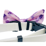 Purple Sky Dog Bow Tie Aaria Tees