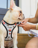 The Modern Dog Company - Bad to the Bone Harness Aaria Tees
